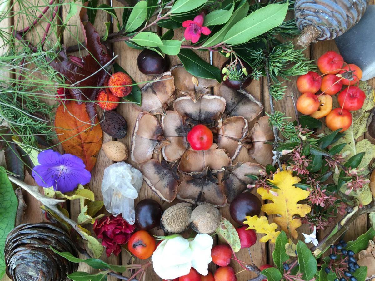 La Source, Vegetarian Guest House Chabeuil ภายนอก รูปภาพ