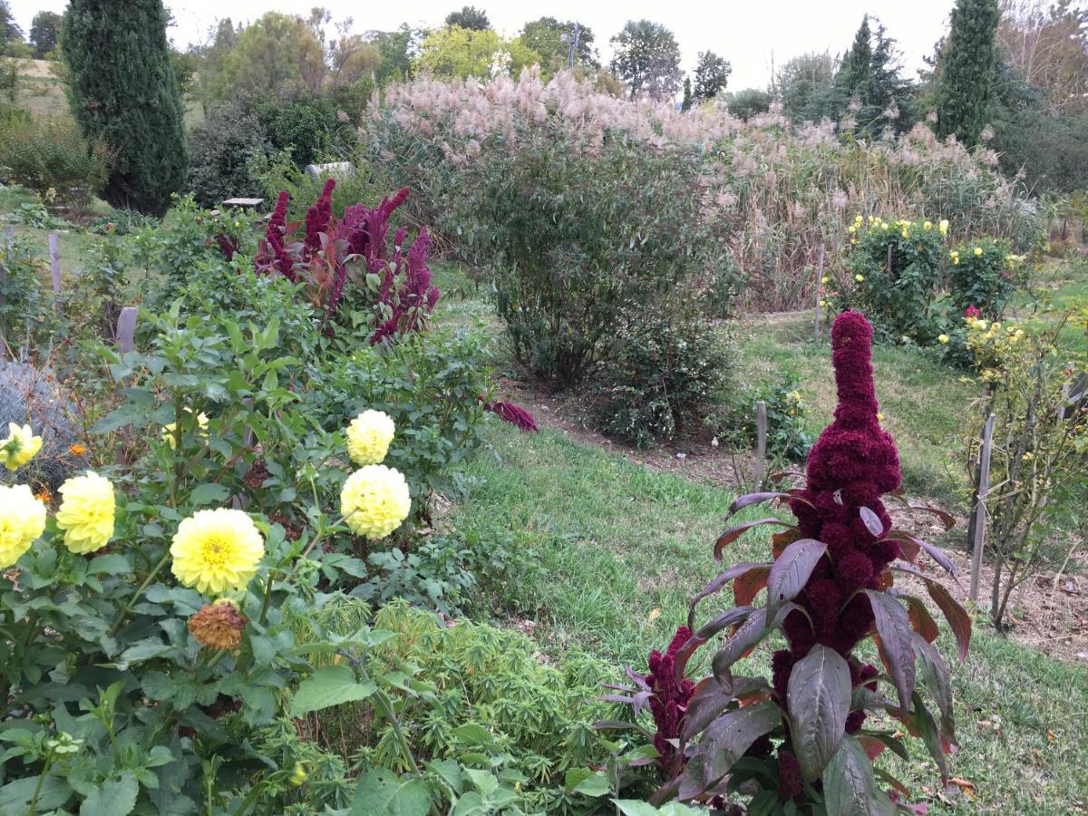 La Source, Vegetarian Guest House Chabeuil ภายนอก รูปภาพ