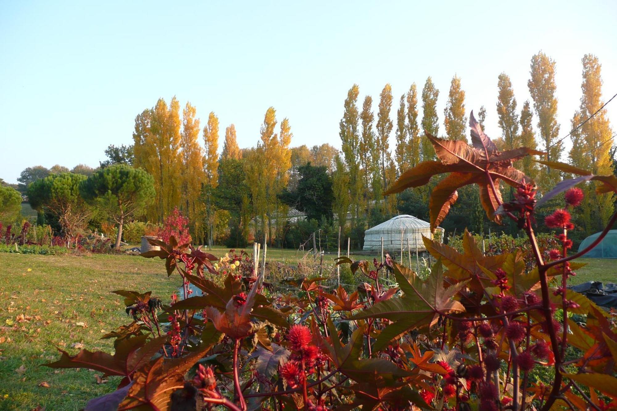 La Source, Vegetarian Guest House Chabeuil ภายนอก รูปภาพ
