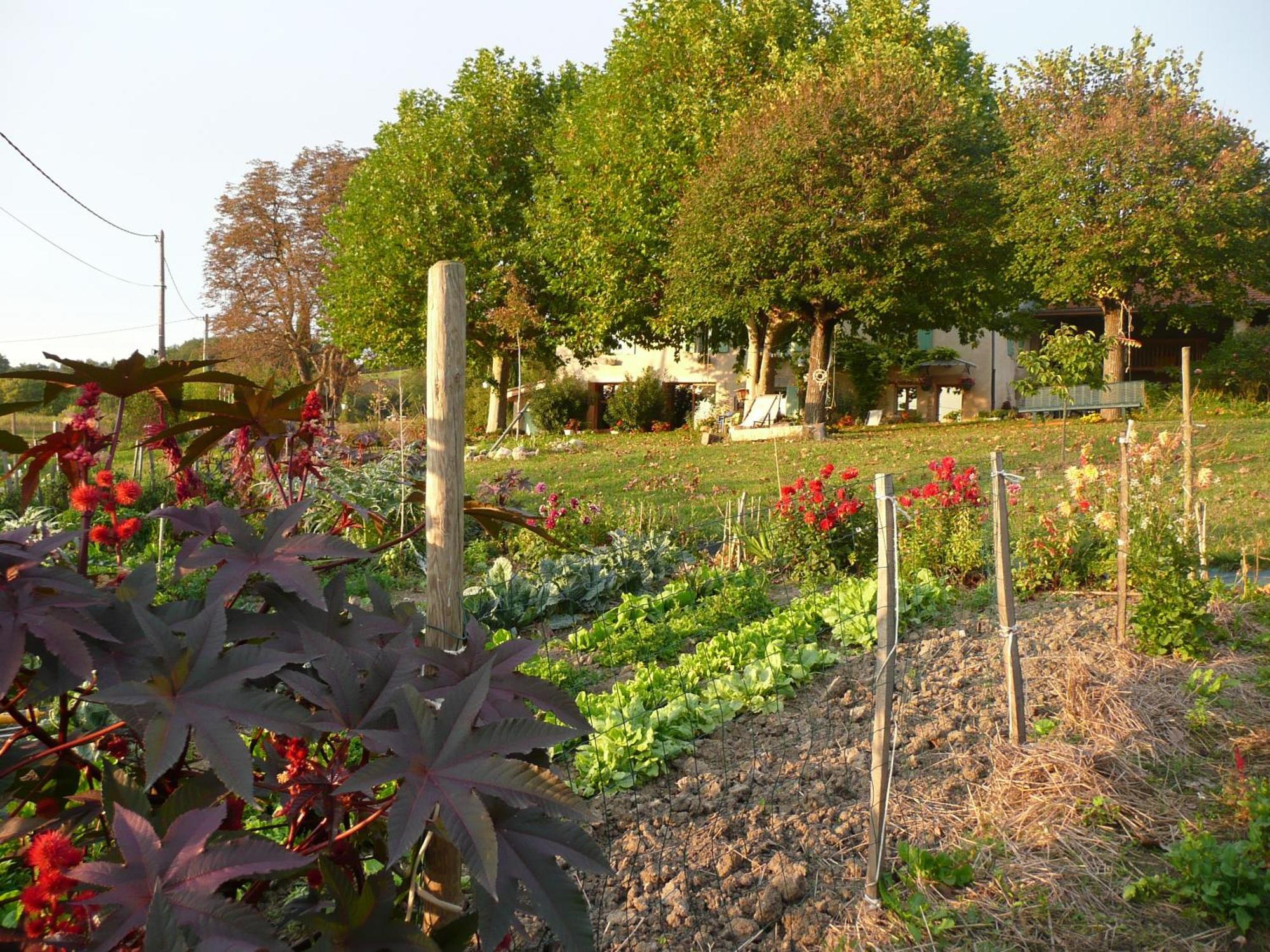 La Source, Vegetarian Guest House Chabeuil ภายนอก รูปภาพ